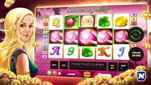 Sports and casino-style entertainment overview inside dhaka7 apk platform
